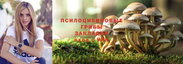 СК Мегион