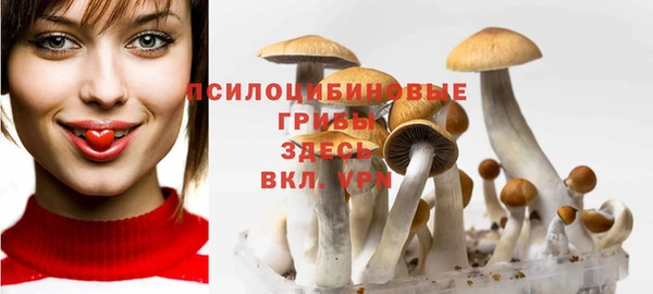 СК Мегион