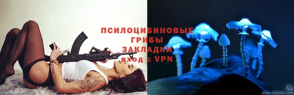 дживик Медногорск