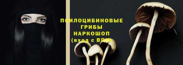 СК Мегион